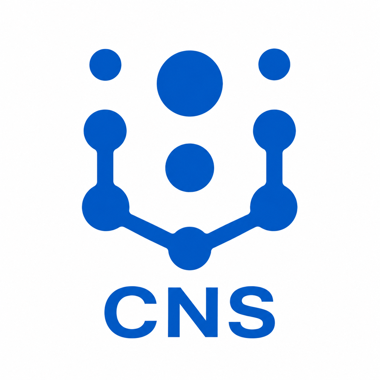 Center for Neuroeconomics Studies
